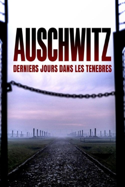 Auschwitz Countdown To Liberation