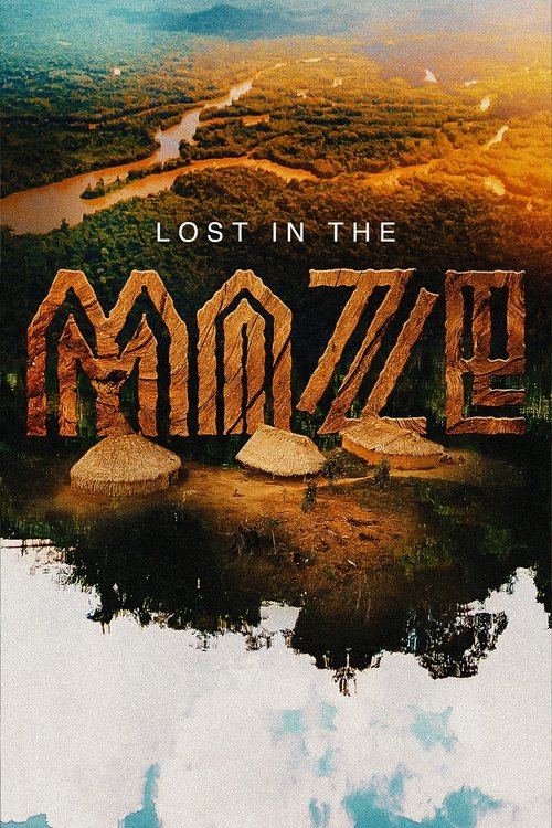 Lost In The Maze