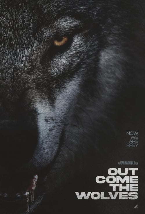 Out Come The Wolves