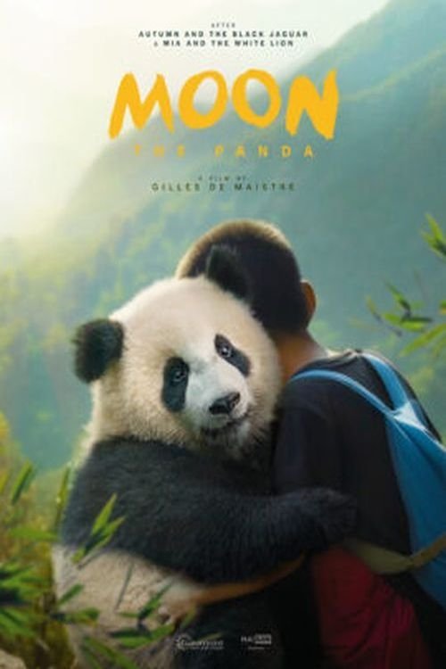 Moon Le Panda