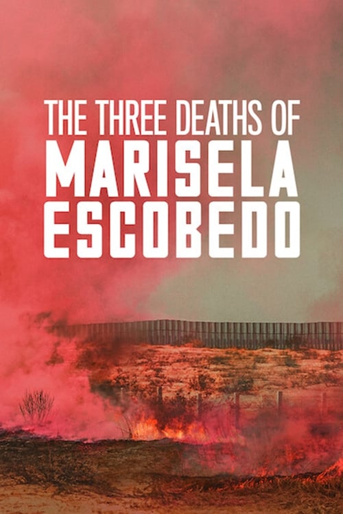 The Three Deaths Of Marisela Escobedo