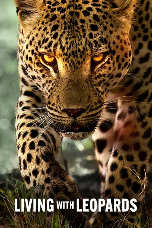 Living With Leopards