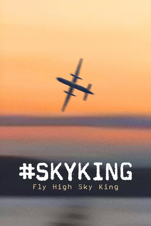Skyking