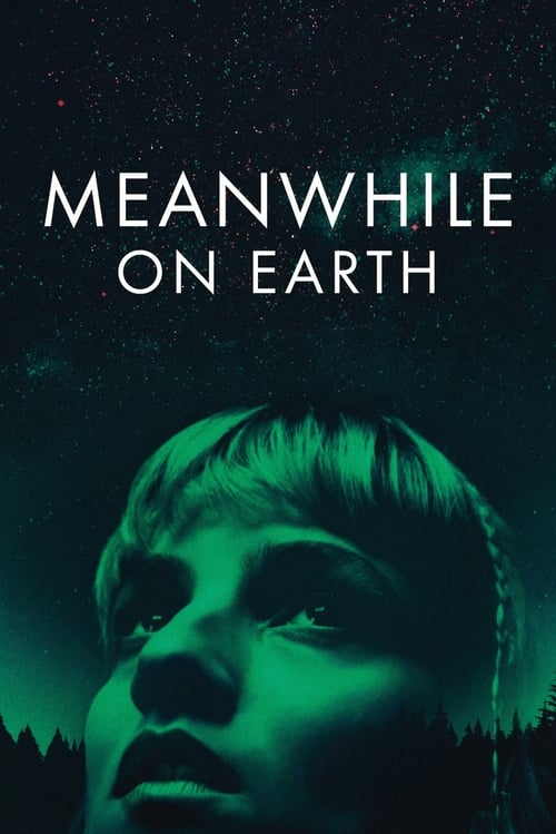 Meanwhile On Earth
