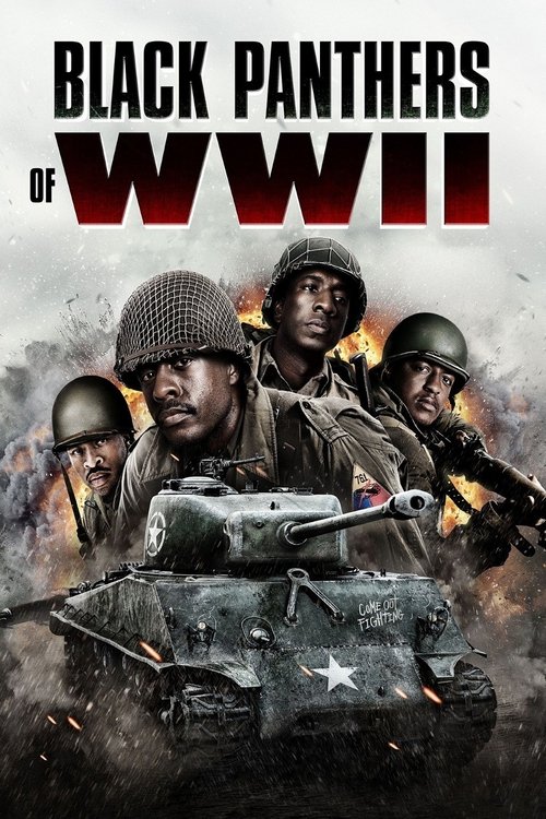 Black Panthers Of WWII