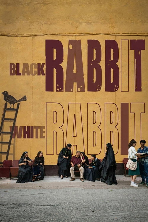 Black Rabbit White Rabbit