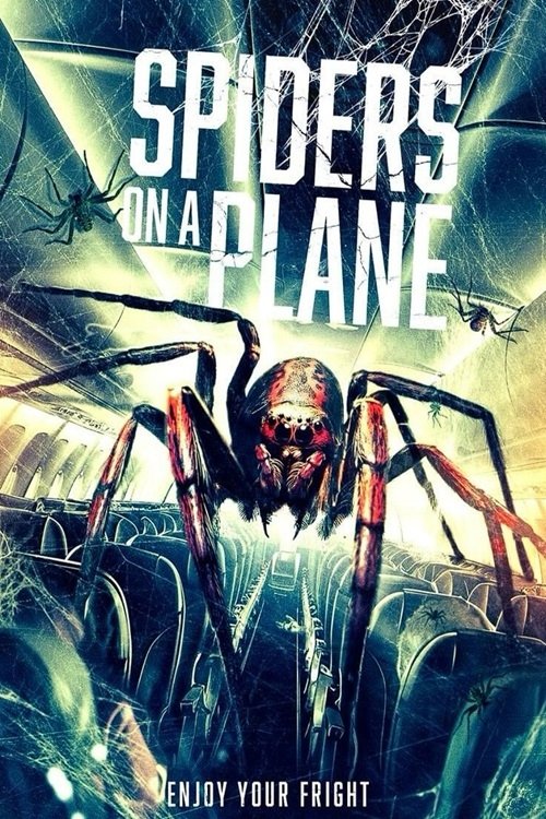 Spiders On A Plane