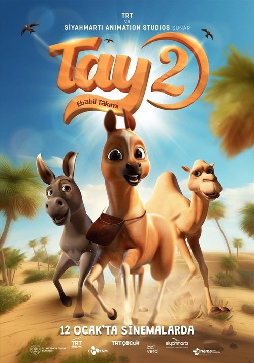 Tay 2 Ebabil Takimi