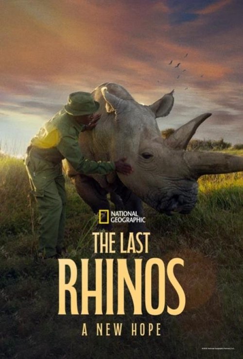 The Last Rhinos A New Hope