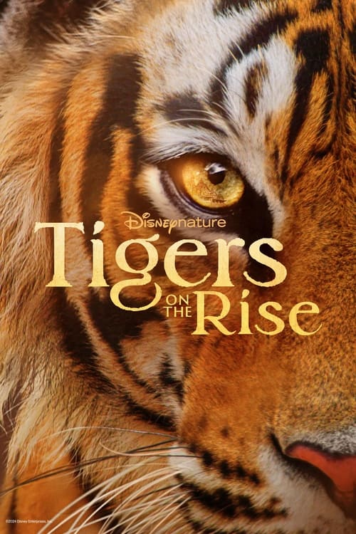 Tigers On The Rise