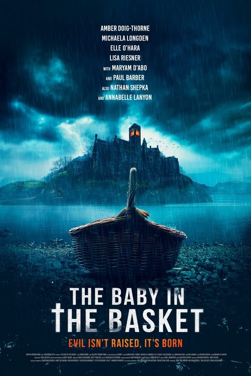 The Baby In The Basket