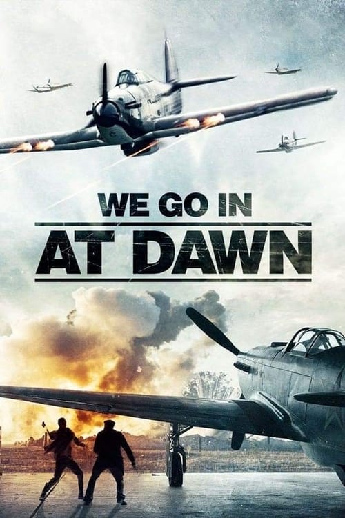 We Go in at DAWN