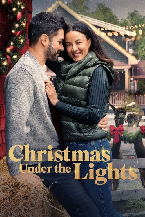 Christmas Under The Lights