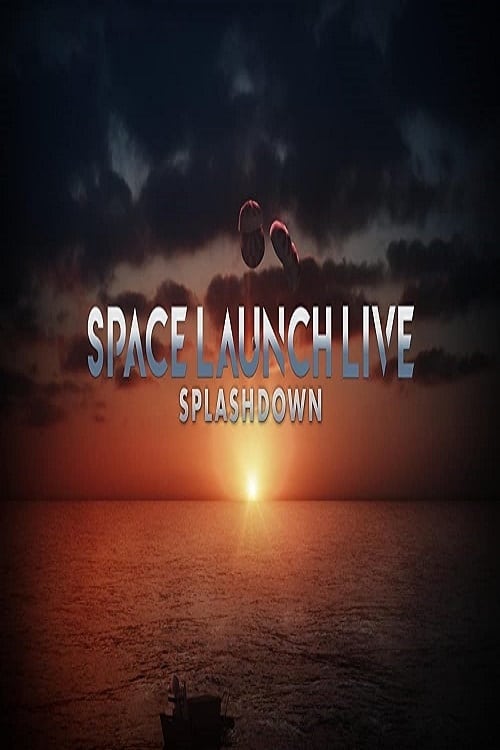 Space Launch Live Splashdown