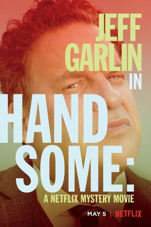 Handsome A Netflix Mystery Movie